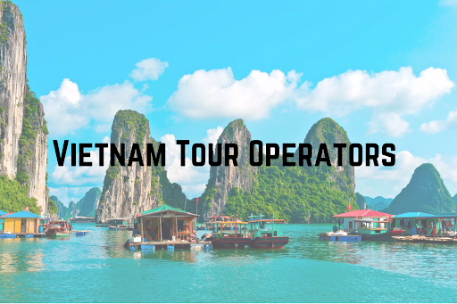 Discover the 5 Best Vietnam Tour Operators- Your True Travel Partner