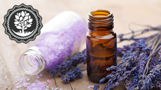 The Ultimate Guide to Buying Lavender Essential Oil in Bulk: Trusted Manufacturers, Wholesale Prices & Organic Options