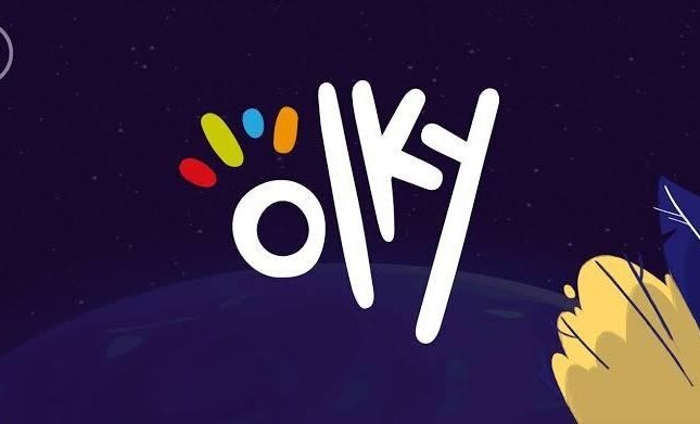 Numéro téléphone OLKY PAYMENT 0188332521