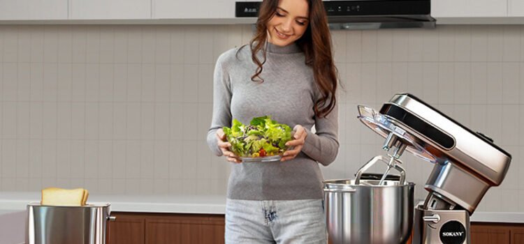 SOKANY Small Appliance Brand Development Trends: A Guide for Distributors